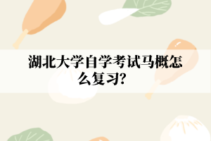 湖北大学自学考试马概怎么复习?
