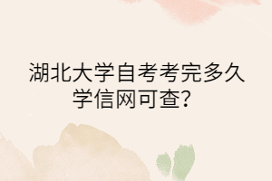 湖北大学自考考完多久学信网可查？